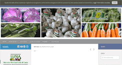 Desktop Screenshot of mercatolusia.it